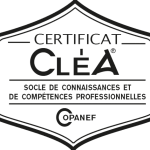 clea